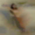 Adult swingers Oklahoma