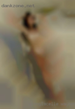 Vinnylacelle Waynesboro